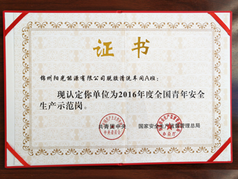 2016年度全國(guó)青年安全生產(chǎn)示范崗