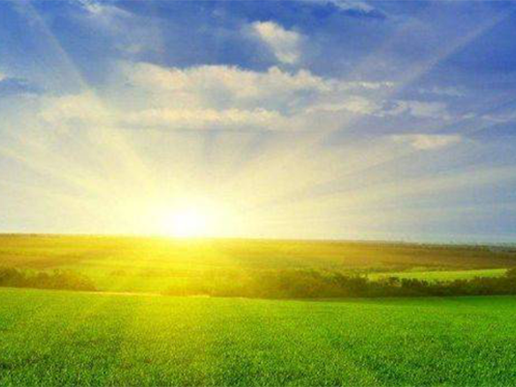 2020H1，錦州陽光戮力同心、運營達滿產(chǎn)